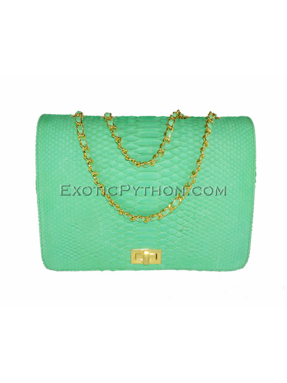 Snakeskin purse CL-119