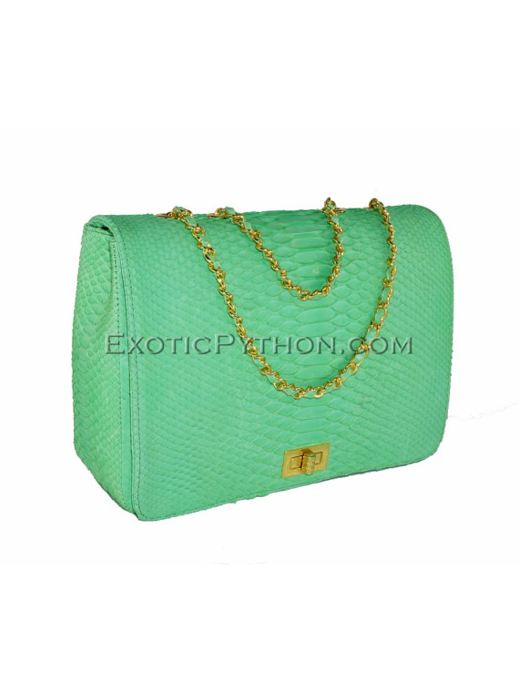 Snakeskin purse CL-119