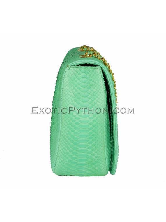 Snakeskin purse CL-119