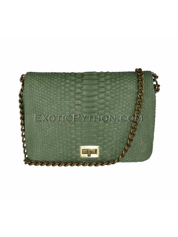 Snakeskin purse CL-123