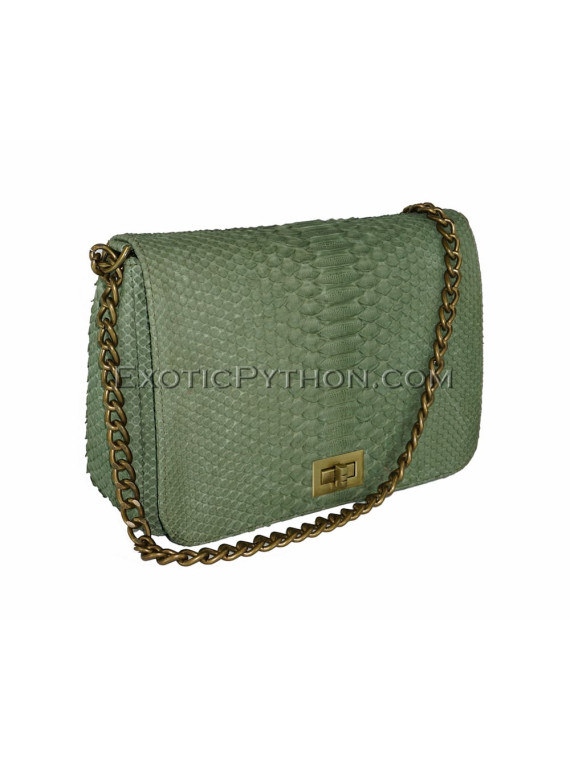 Snakeskin purse CL-123