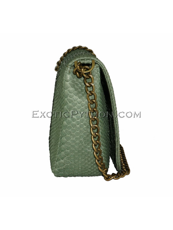 Snakeskin purse CL-123