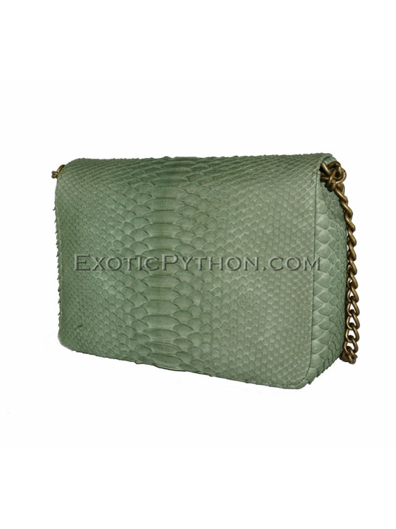 Snakeskin purse CL-123