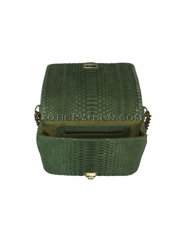 Snakeskin purse CL-123