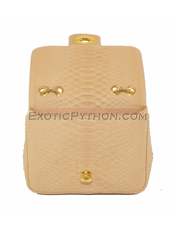 Snakeskin purse CL-34