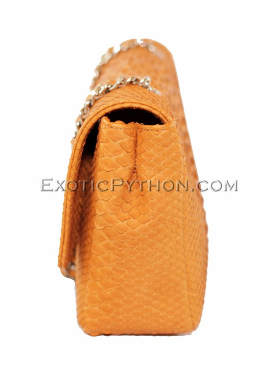 Snakeskin crossbody bag CL-31